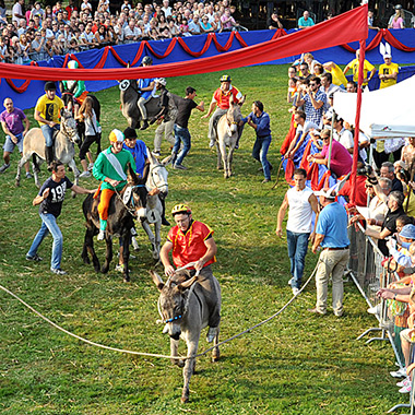 Palio degli Asini